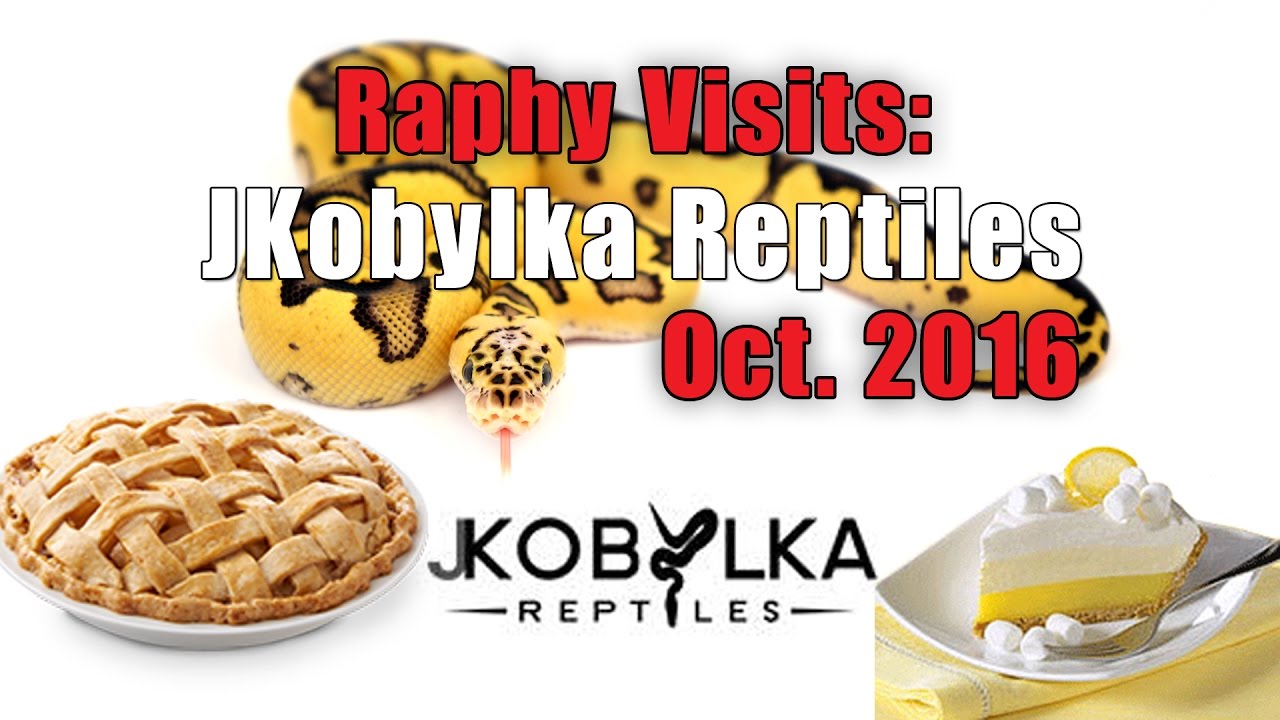 Raphy Visits: J Kobylka Reptiles Oct 2016
