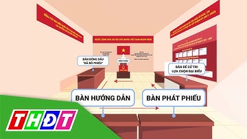 Những điều cử tri cần biết khi đi bầu cử | THDT