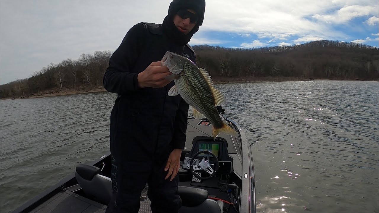 Table Rock Lake Bass Fishing!