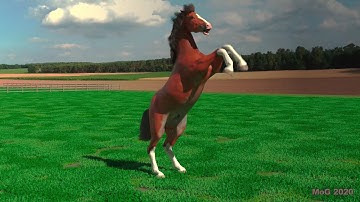 Test Render: "C4D Horse Animation" (Redshift Render, 4K, HDR)