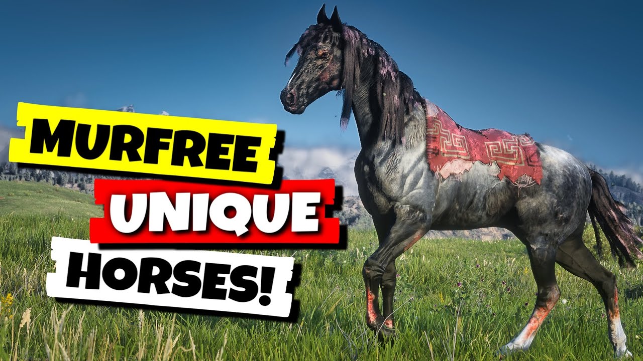 Scarred and Unique Horses You Can Get Early in RDR2 (Black Rabicano and ...