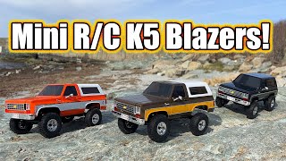 $150 Radio Controlled Chevy K5 Blazer! FMS FCX24