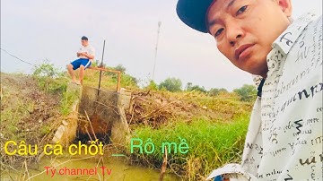 Hôm nay đi câu với mấy ae cần thủ ,đụng cá Chốt _ Rô Mề / thú vui câu cá giải trí P2| Tý Channel TV