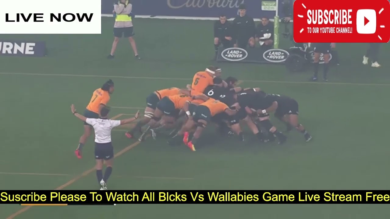 All Blacks Vs Wallabies Live Stream AUSTRALIA VS NEW ZEALAND LIVE RUGBY CHAMPIONSHIP 2023