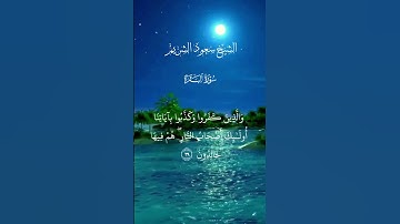 الشيخ سعود الشريم     سورة البقرة         #المصحف #القرآن_الكريم #تلاوة_خاشعة