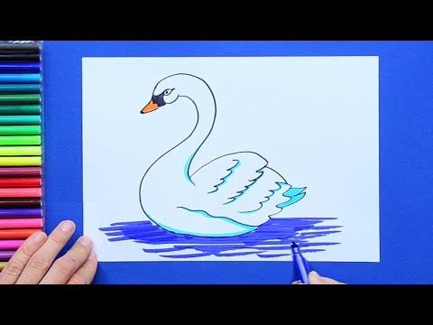 How to draw a Swan