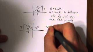 Celebrity Reference Angles Profile