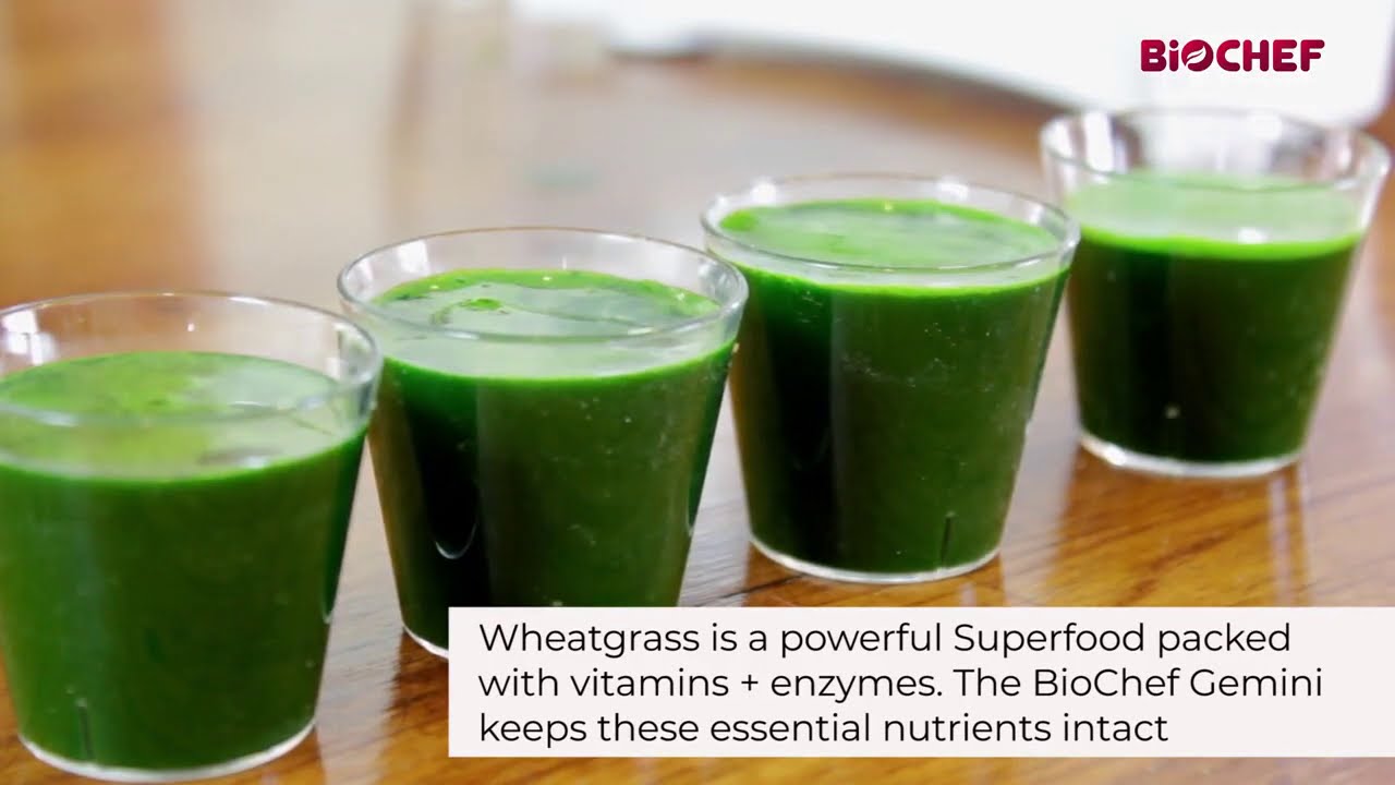 Двухшнековая соковыжималка холодного отжима BioChef Gemini Twin Gear