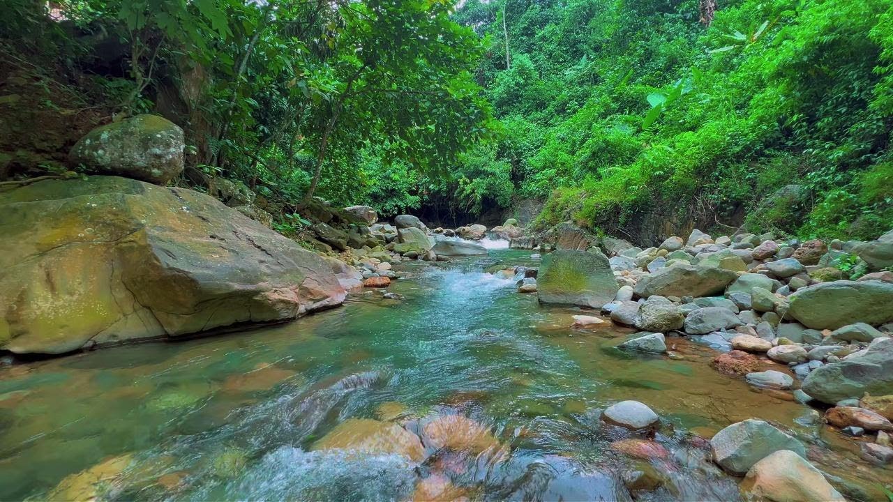 Nature River Sounds for Better Sleep | Relaxing Sounds for Stress Relief and Calm Night | 4K-HDR