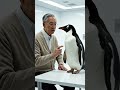 Human vs Penguin Conversation 😂 (Unexpected Ending) #funny #shorts