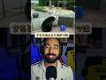 クマと遭遇！マイクが取った衝撃な行動とは…#クマ #動物 #衝撃映像 #海外