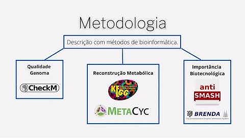 Rafael da Silva Oliveira