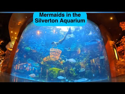 Random slot to start the night! #casino #gambling #slots #vegas #chasinghandpays #10spins