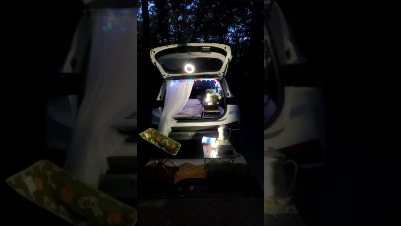 Solo Car camping in the Forest 