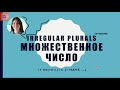 THE IRREGULAR PLURAL OF NOUNS IN RUSSIAN &amp; VOCABULARY | Learn Russian for free