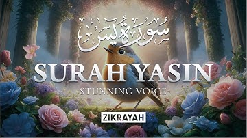 Most Peaceful Quran Recitation of Surah Yaseen (Yasin) سورة يس | Zikrayah