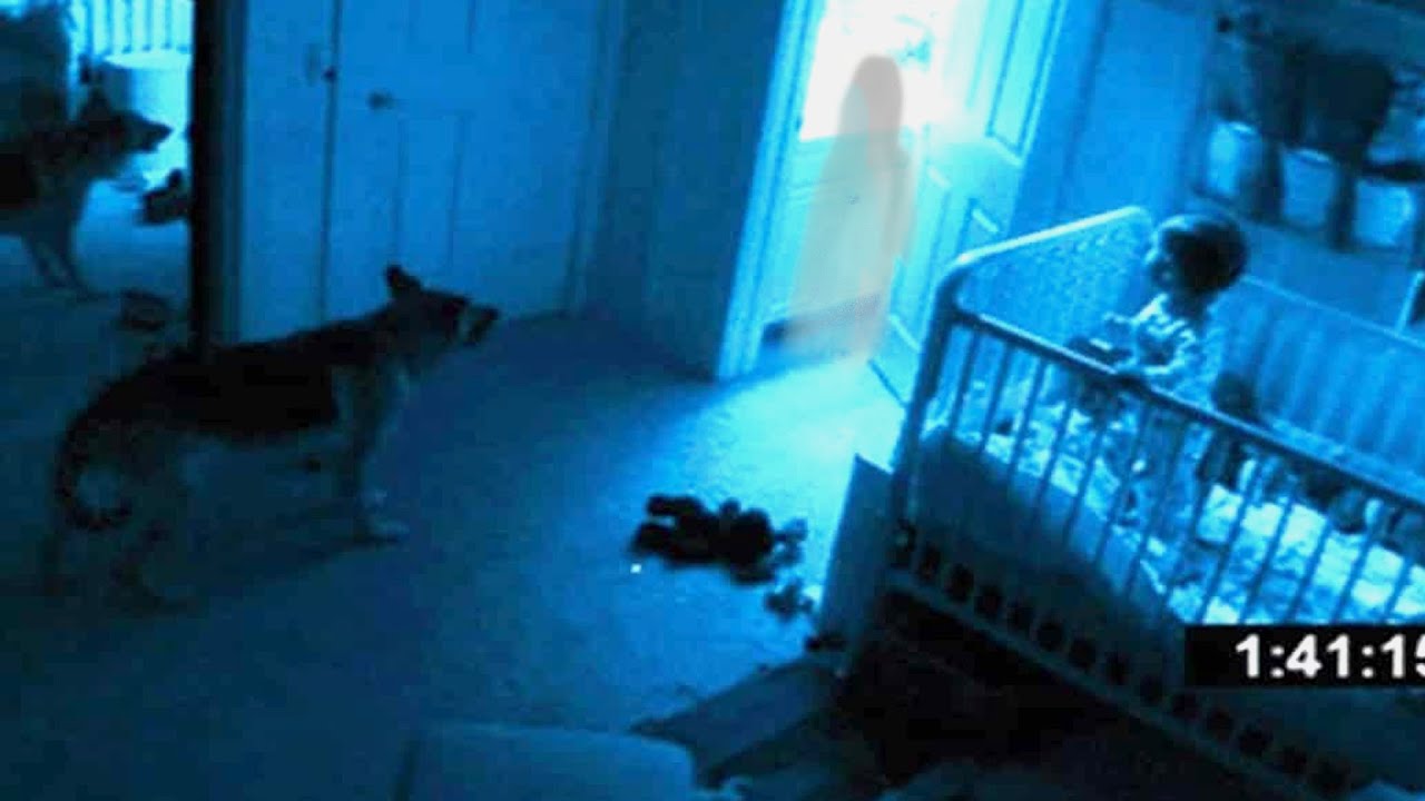 Las cámaras de una vivienda graban a una mascota jugando con un 'perro  fantasma