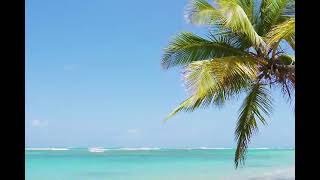 Çekilmiyor Bu Yalnızlık Gel