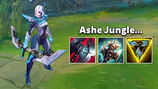 TANK JUNGLE ASHE IS THE NEW META