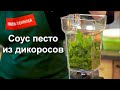 Соус песто из дикоросов