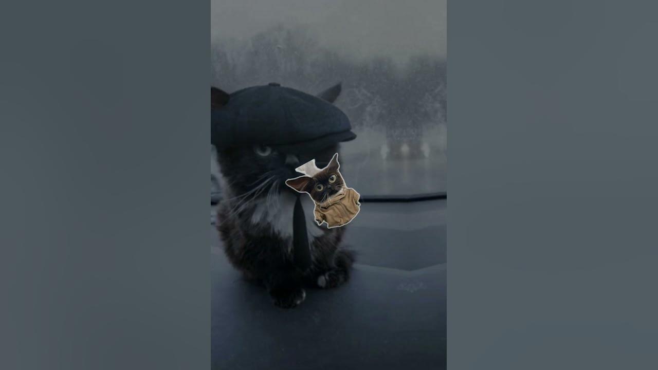 аватарки для лютой тимы - YouTube