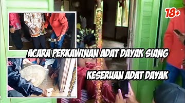acara perkawinan adat Dayak siang Kalimantan tengah kabupaten murung raya desa konut