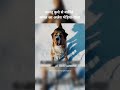 पालतू कुत्ते से बर्फ़ीले जंगल का अजेय भेड़िया-राजा #shortsfeed #viral #movieexplainedinhindi #short