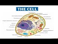 Cell, Human Cell, Structure of Cell, Cell Organelles, Plasma Membrane, Cytoplasm, Nucleus, Ribosomes
