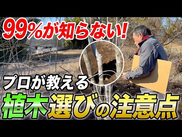 Don't choose randomly] We explain the minimum points to know and