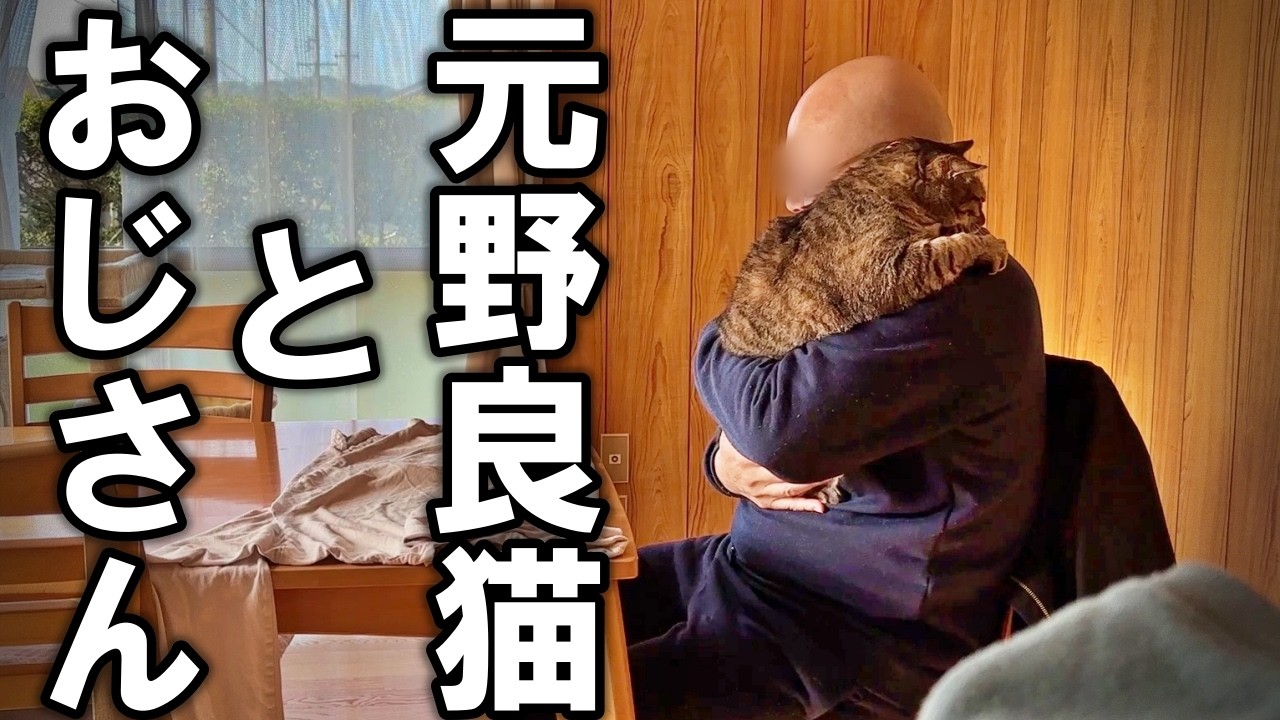 虎の助☆ページです。 A happy day for a former stray cat and an old man - YouTube
