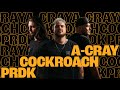 Acray cockroach  prdk  darkshire pandemonium 2023  drum and bass