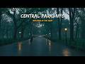 Walking in the Rain CENTRAL PARK NYC Binaural Heavy Rain Umbrella Thunder Nature Sounds mp3