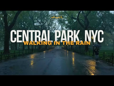 Walking in the Rain CENTRAL PARK, NYC | Binaural Heavy Rain Umbrella Thunder &amp; Nature Sounds