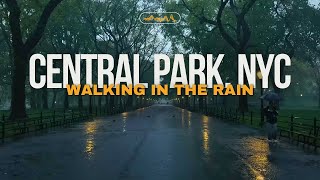 Walking in the Rain CENTRAL PARK, NYC | Binaural Heavy Rain Umbrella Thunder & Nature Sounds