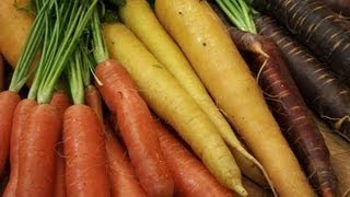 Growing Carrots: Red, Yellow, Purple & Orange