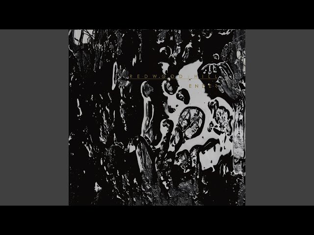 Redwood Hill - No Horizon