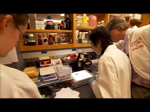 CNDR: Progress and Promise Against Alzheimers Dise...