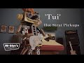 Roboguy demos tui strat pickups