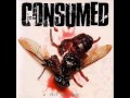 Consumed - Black And Blue