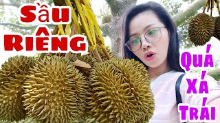 Tham Quan Vườn Sầu Riêng Siêu To Khổng Lồ Của Chị Thảo Ở Cần Thơ Ăn Sầu Riêng Đã Miệng #Nhanhtv