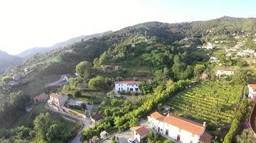 Syma X8G - FPV - OSD - Tarot TL300L - 700TVL sony - Tx 600mW - Gopro Hero