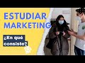 ESTUDIAR MARKETING 💡 (¿Se Estudia Poco?) OPINIONES