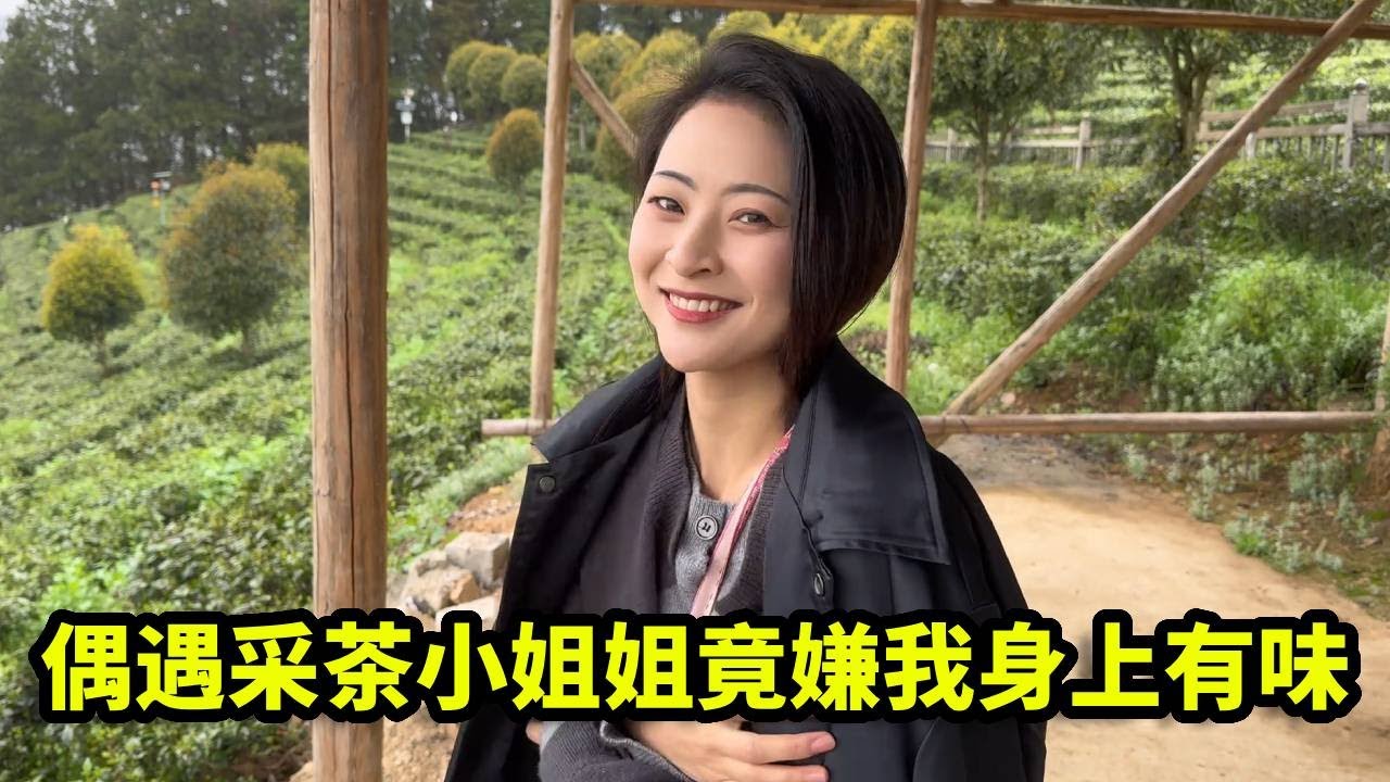 偶遇采茶小姐姐，竟嫌弃我身上有味，扭头就走了！【憨伟】