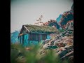 Unreal Engine Tundra workinprogres #ue5 #nature #cinematic #unrealengine5 #gameengine #unrealengine