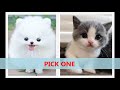 Pick one | Which Color suit you | Must watch!!!!!!!!!!!!!!!!!!!!