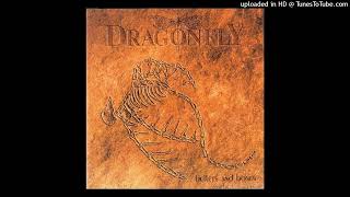 Dragonfly - What We Left Behind