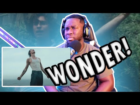 SHAWN MENDES- Wonder (Official Music Video) *REACTION*