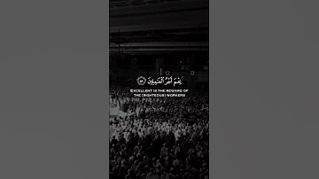 سورة العنكبوت الآيات ٥٧ ، ٥٨،٥٩