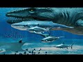 Sea creatures size comparison  3d animation comparison  real scale comparison