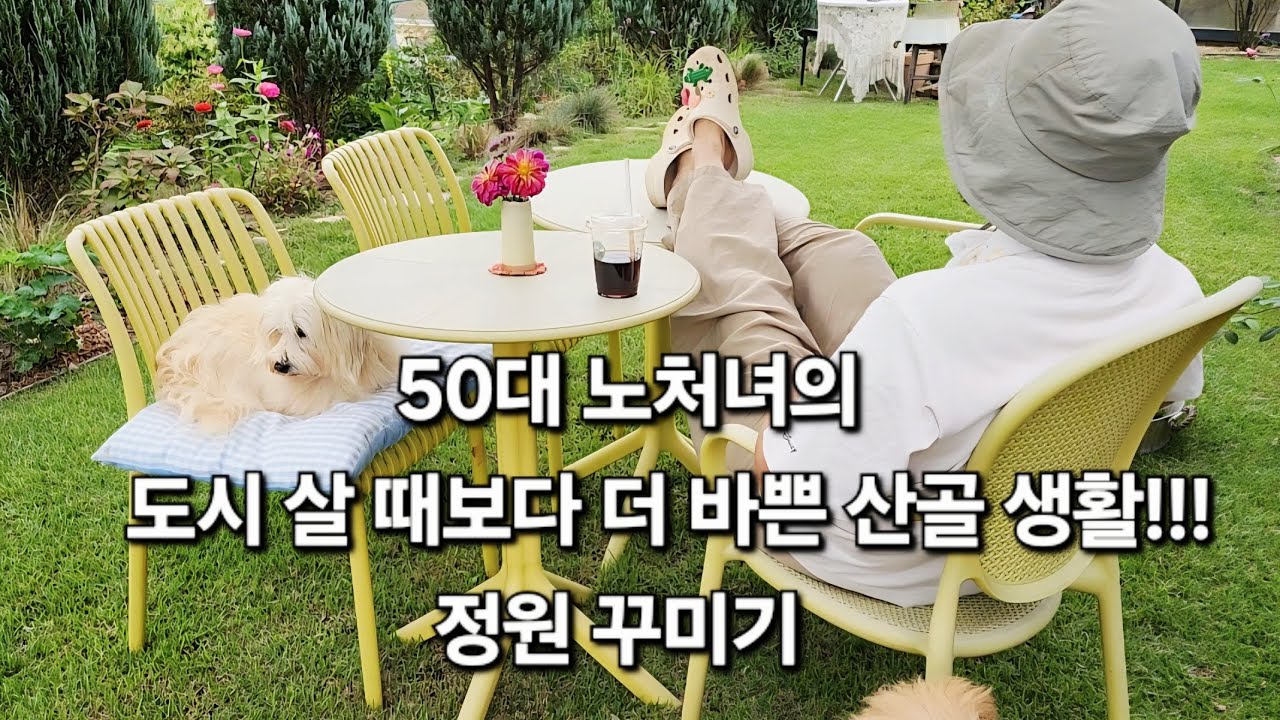 1인 가구 | 귀촌생활 | 송이버섯 채취 | 정원꾸미기 | 가을정원 | 장미정원